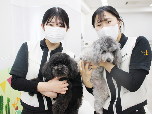 ２年生とモデル犬の写真撮影会♪～PART②～